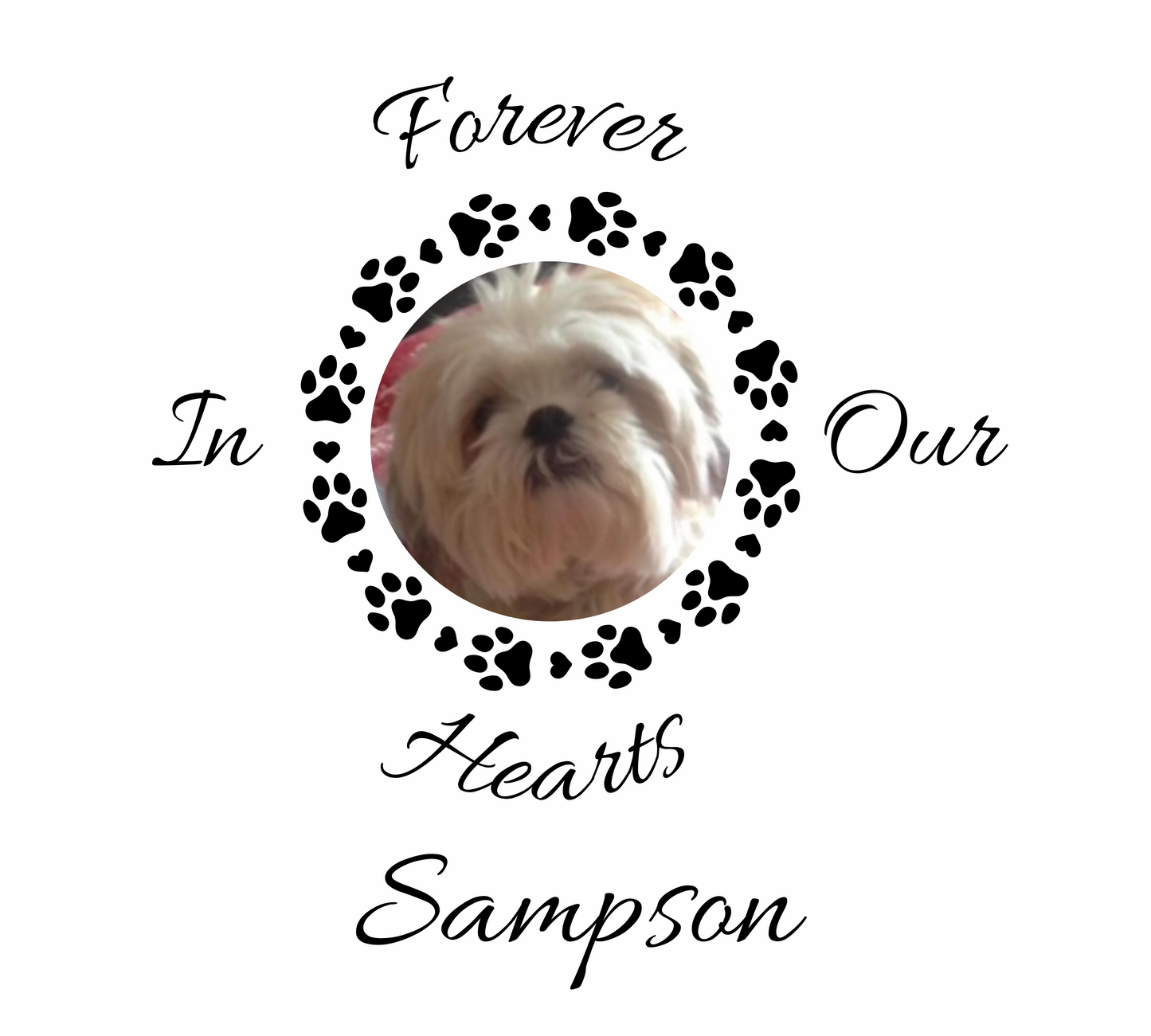 Forever in our hearts custom pet acrylic plaque with wood or LED Lighted stand - Canadohta Custom Creations LLC