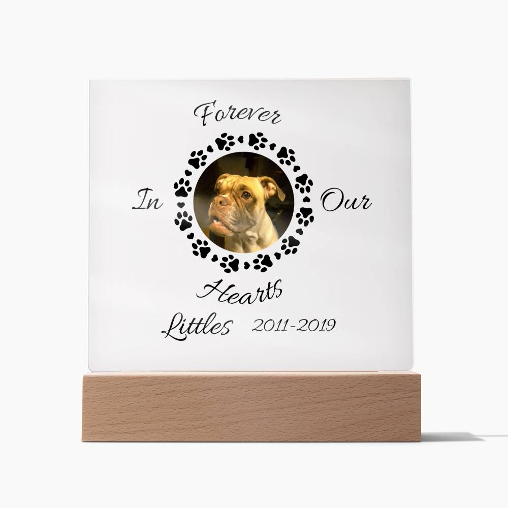 Forever in our hearts custom pet acrylic plaque with wood or LED Lighted stand - Canadohta Custom Creations LLC